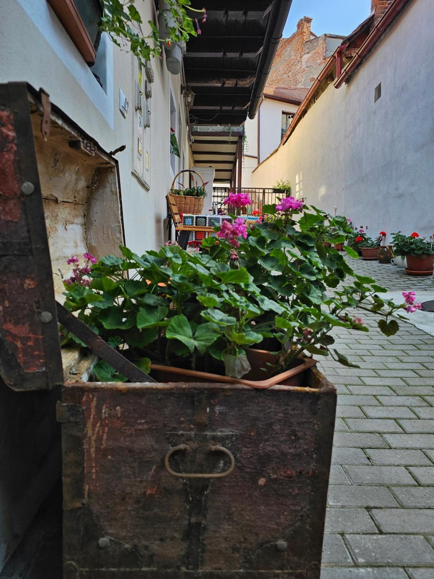 Central Cozy House Sibiu Apartment Exterior photo