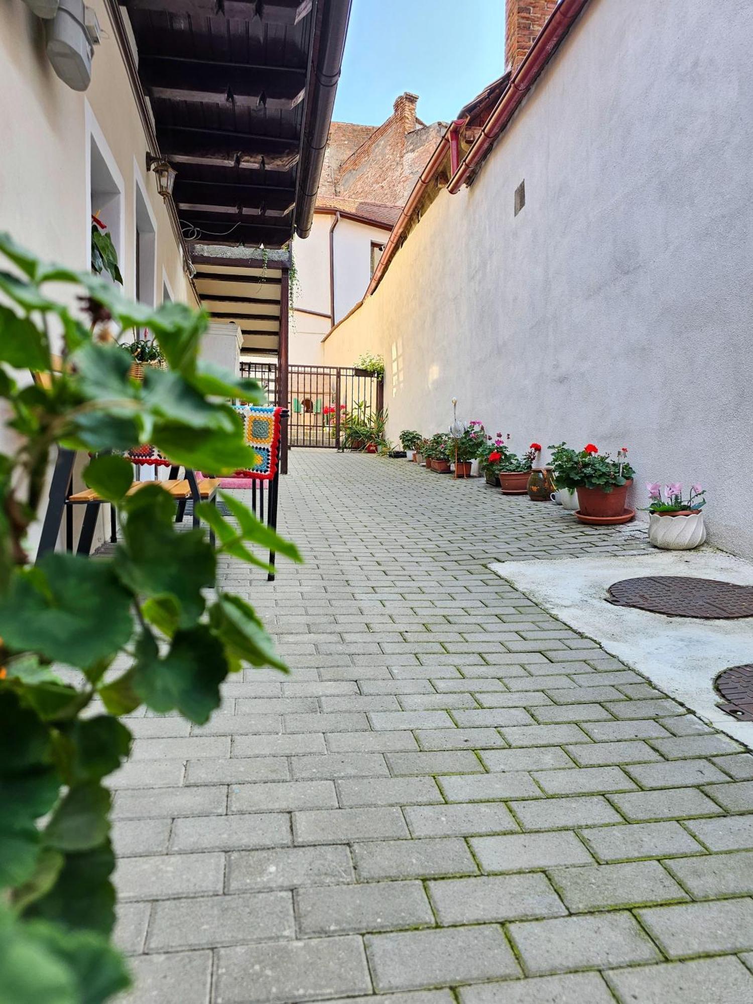 Central Cozy House Sibiu Apartment Exterior photo